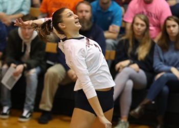 Ligue A : Mulhouse clôture son recrutement avec Jelena Novakovic