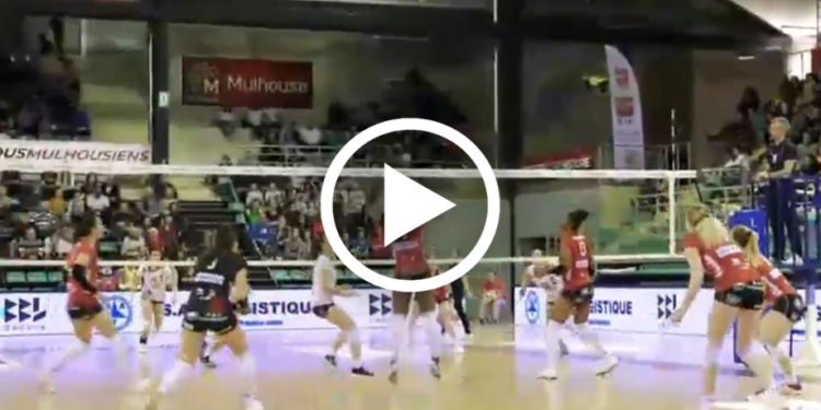 TV – Volley : ASPTT Mulhouse – Mongins en direct