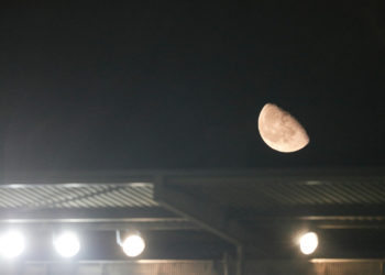 Nîmes s’incline face à l’OM en ouverture de la 13ème journée