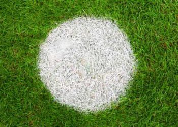 Une histoire de penalties