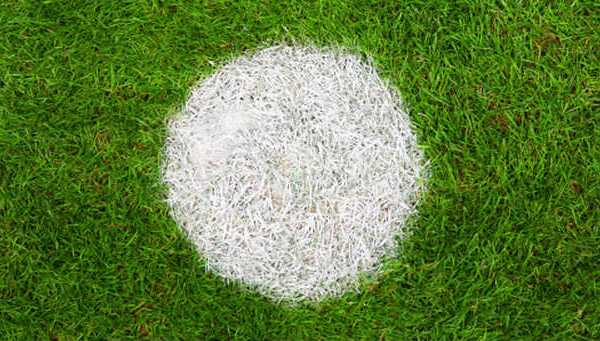 Une histoire de penalties