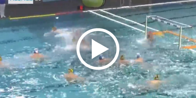 TOP SPORT : la « remontada » du Team Strasbourg