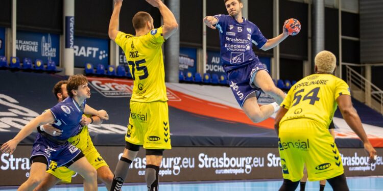 Proligue Handball : Strasbourg gifle Sélestat !