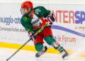 Scorpions de Mulhouse : nouvelle saison, nouveaux joueurs