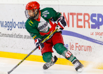 Scorpions de Mulhouse : nouvelle saison, nouveaux joueurs