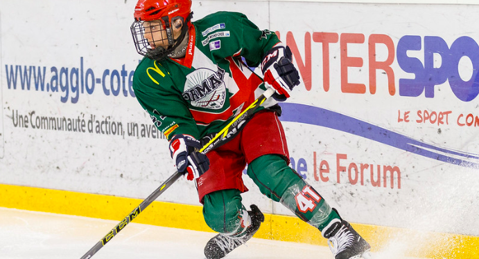 Scorpions de Mulhouse : nouvelle saison, nouveaux joueurs