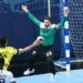 Handball : Mickaël Robin n’arrête plus les buts mais sa carrière !