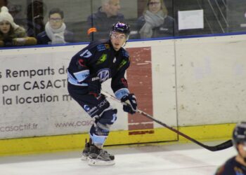 Scorpions de Mulhouse : quatorze joueurs prêts pour l’année prochaine !