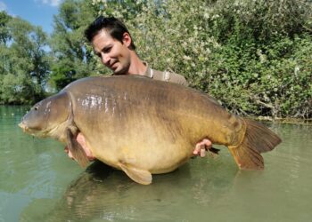 Alex Chat : La Discrétion avant tout !