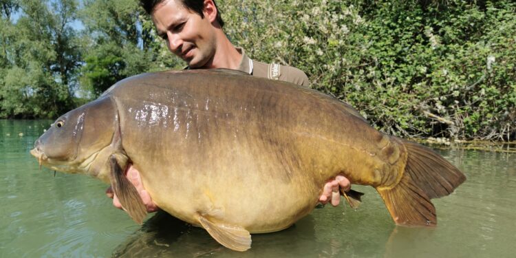 Alex Chat : La Discrétion avant tout !
