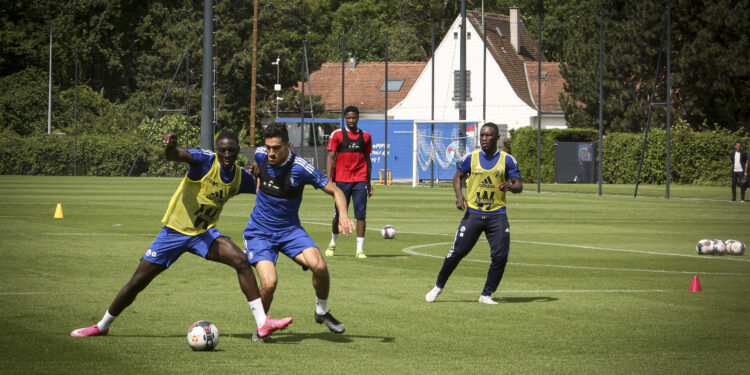 Julien Stéphan : « Il faut se préserver des réflexions trop hâtives »