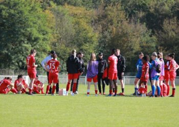 Le FC Vendenheim impuissant face au leader Nantais
