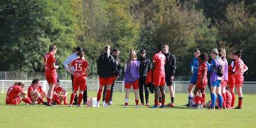 Le FC Vendenheim impuissant face au leader Nantais