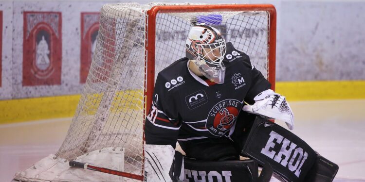 Hockey. Mulhouse n’a rien pu faire face à Grenoble
