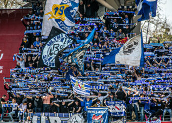 Julien Stéphan « On avait fait le plus dur ! »