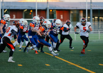 Le Minotaure poursuit son sans-faute face aux Tigres