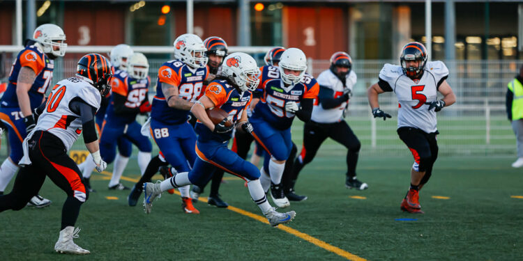 Le Minotaure poursuit son sans-faute face aux Tigres