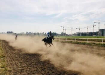 Courses de chevaux : la renaissance de la popularité du sport de nos jours