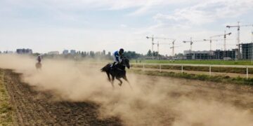 Courses de chevaux : la renaissance de la popularité du sport de nos jours