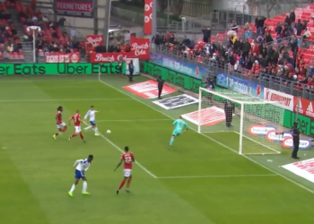 Le sauveur Marco Bizot