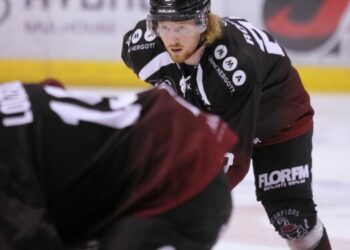 Les Scorpions de Mulhouse se rapprochent du Top 8