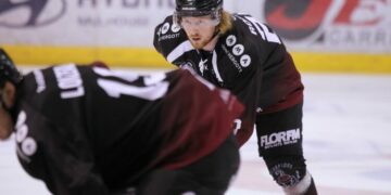 Les Scorpions de Mulhouse se rapprochent du Top 8