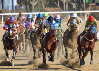 L’essor des paris sportifs en ligne et son impact sur l’industrie traditionnelle des paris sportifs