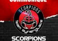 La cagnotte pour sauver les Scorpions de Mulhouse