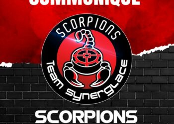 La cagnotte pour sauver les Scorpions de Mulhouse
