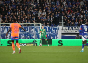 Đorđe Petrović : « On voulait les trois points »