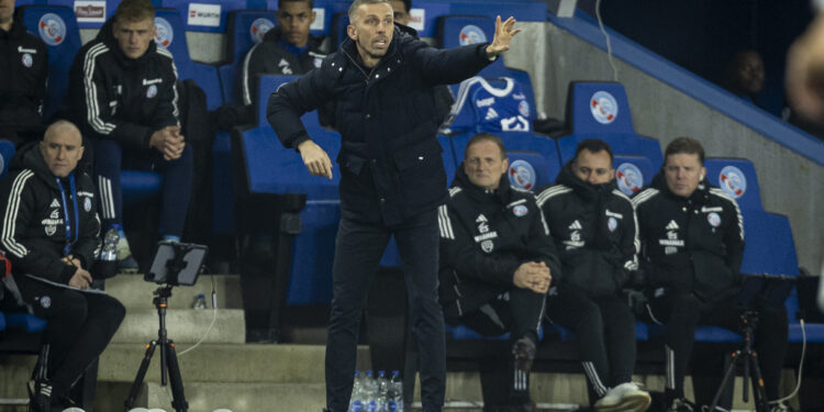 Gary O&rsquo;Neil : « Une équipe qui n’a peur de rien »